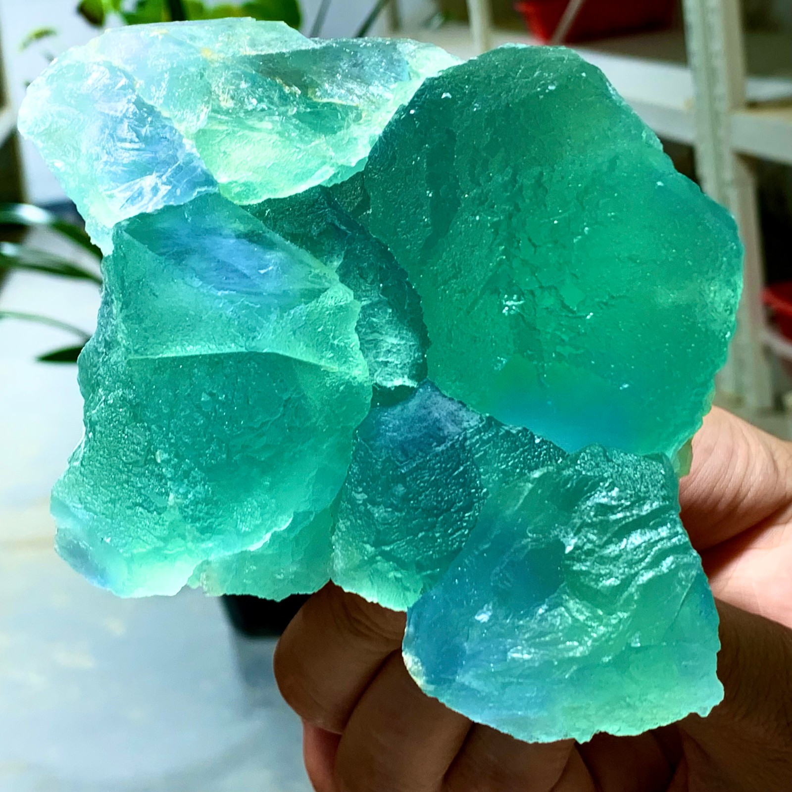 1.71LB Rare transparent Green blue cubic fluorite mineral crystal sample/China