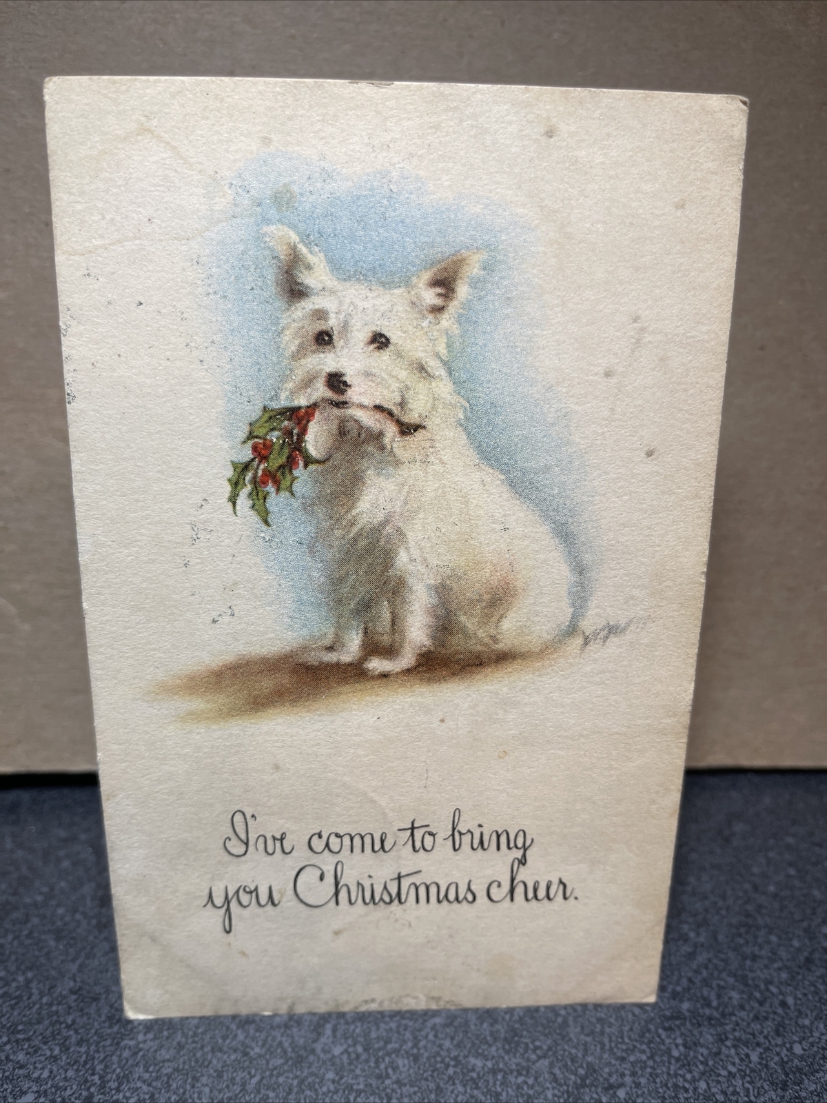 I’ve Come To Bring Your Christmas Cheer Postcard￼