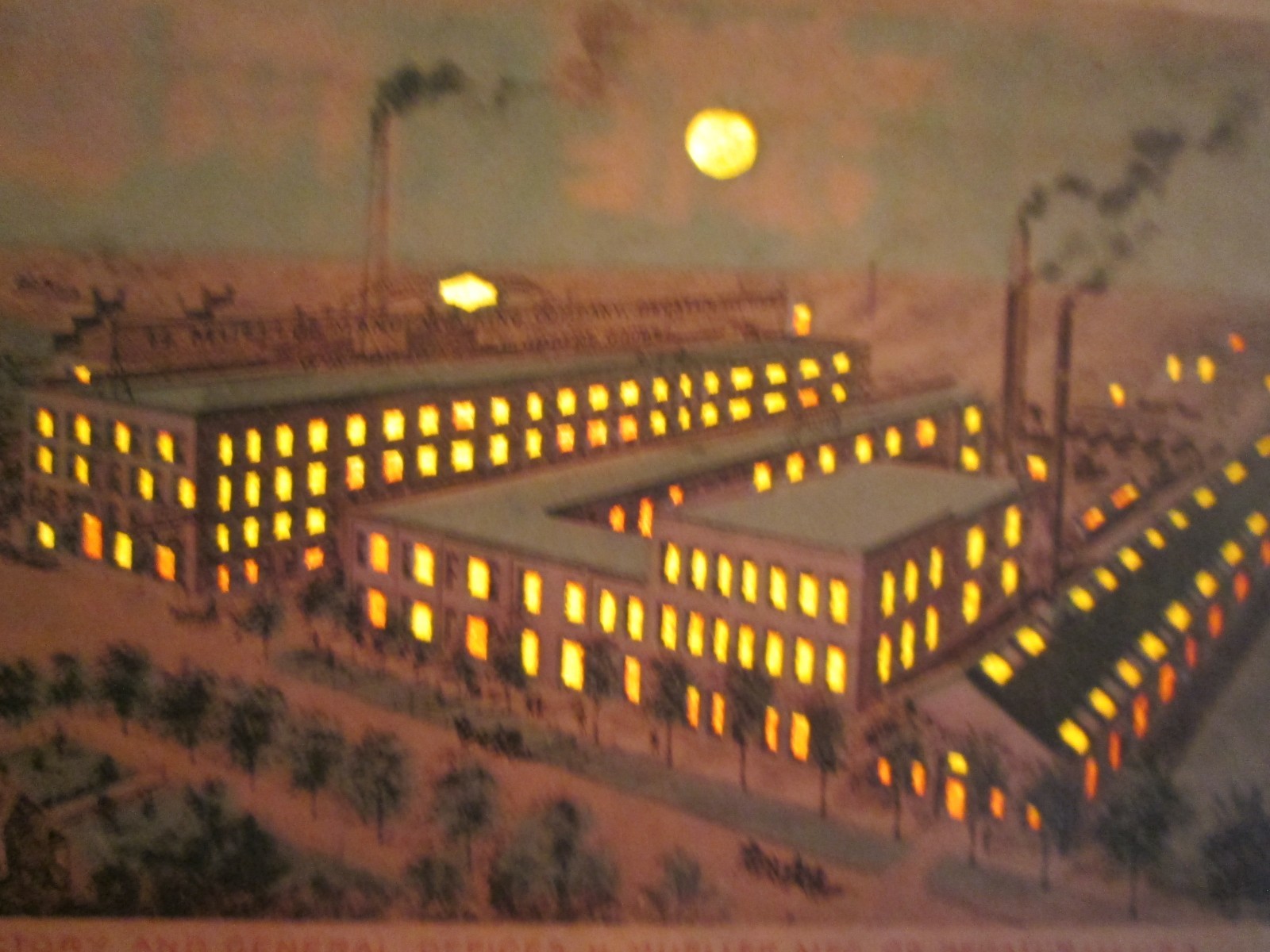 postcard Hold to light Mullers Co