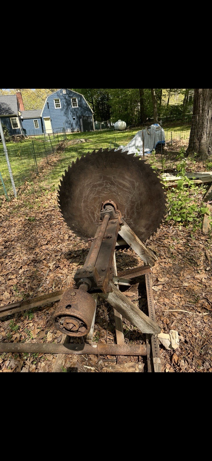 Antique Buzz Saw As Is - 2 Blades, Rehab, Or Display As A Conversation Piece