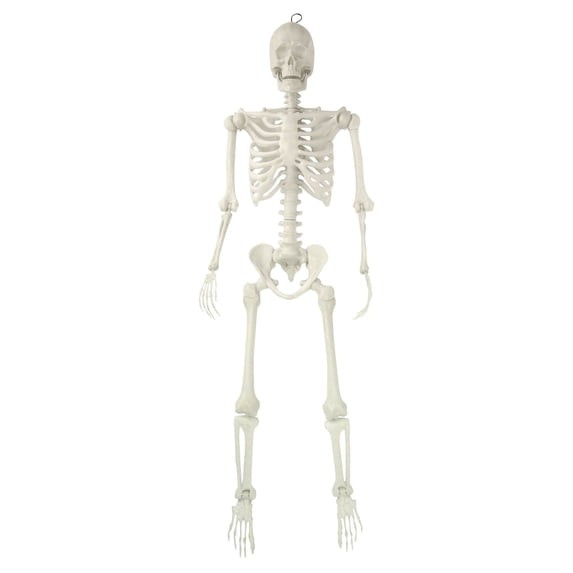 5 Ft White Faux Skeleton Halloween Decoration Posable Indoor Outdoor