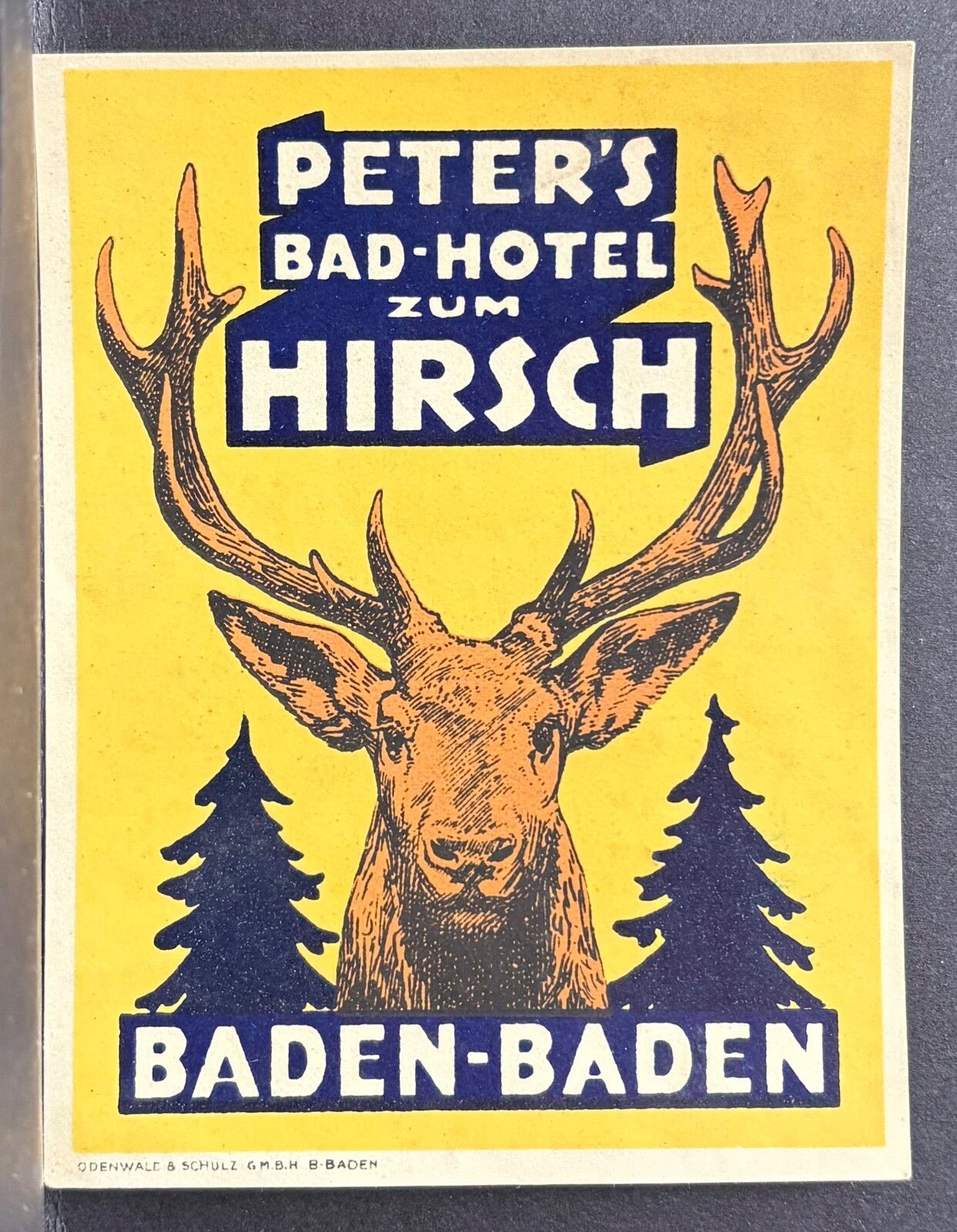 PETER’S BAD HOTEL ZUM HIRSCH BADEN BADEN GERMANY LUGGAGE LABEL~LARGE DEER HEAD