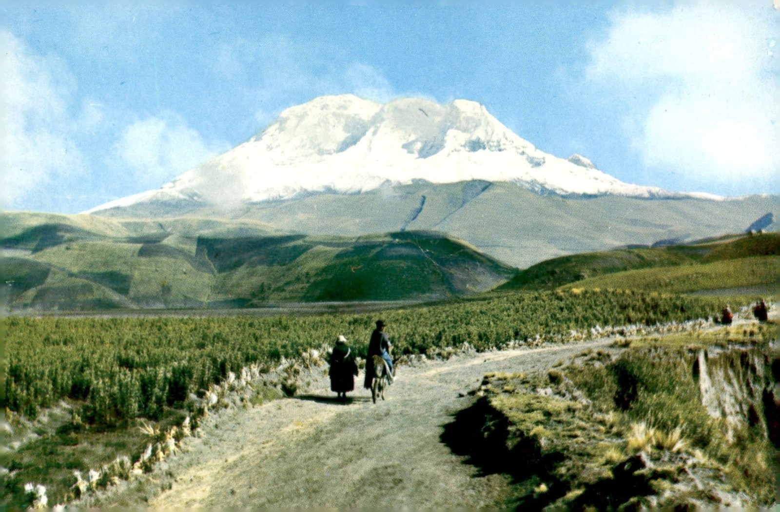 Chimborazo: The Sultan of the Andes, 1970 Postcard