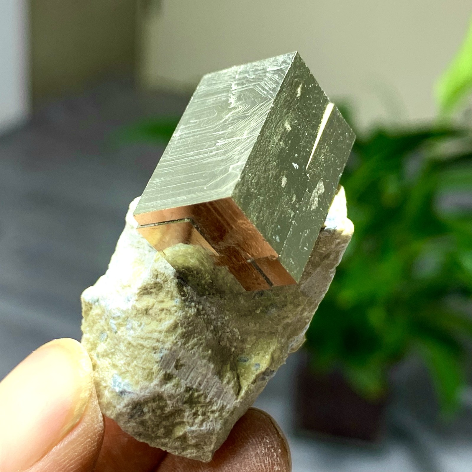 45G Natural Spanish Pyrite Cubic raw stone crystal quartz mineral sample
