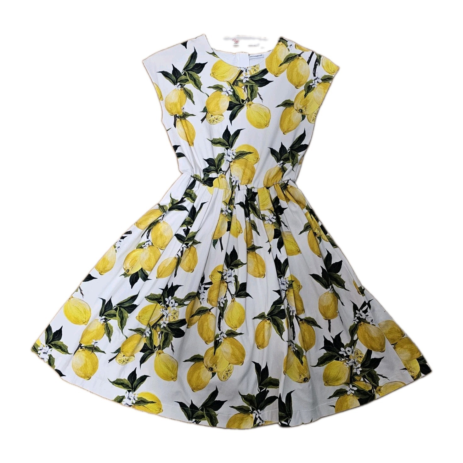 Dolce & Gabbana Kids Lemons Sicily Dress size 12 will Fit Women Size 4-6