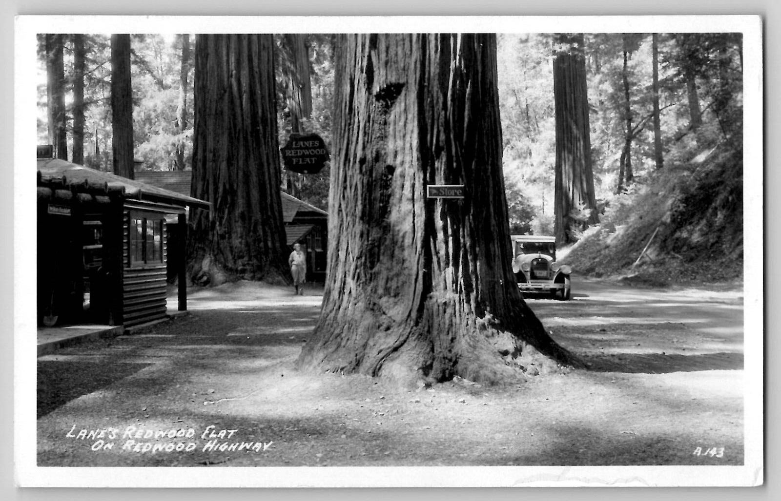Lane's Redwood Flat Store Highway c1930's California CA RPPC Real Photo Postcard