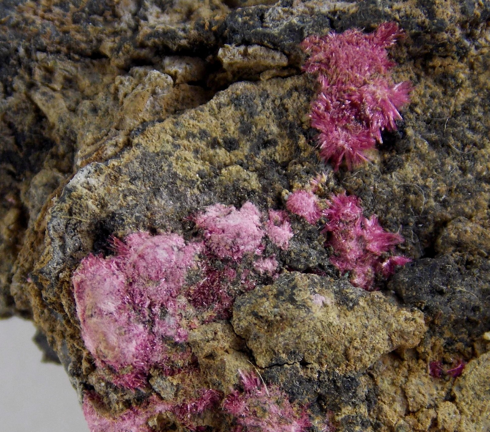 ERYTHRITE CRYSTALS - 5 cm - SARA ALICIA MINE, ALAMOS, MEXICO 30246