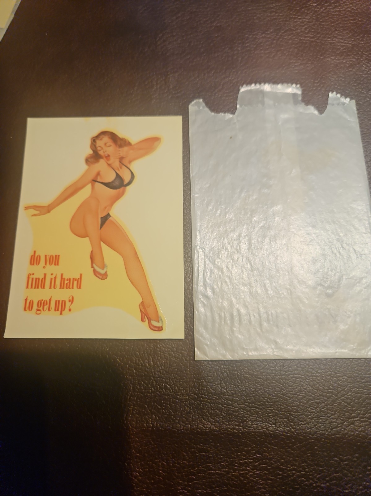 VINTAGE ORIGINAL  SOUVENIR PINUP WATER DECAL ART  3\