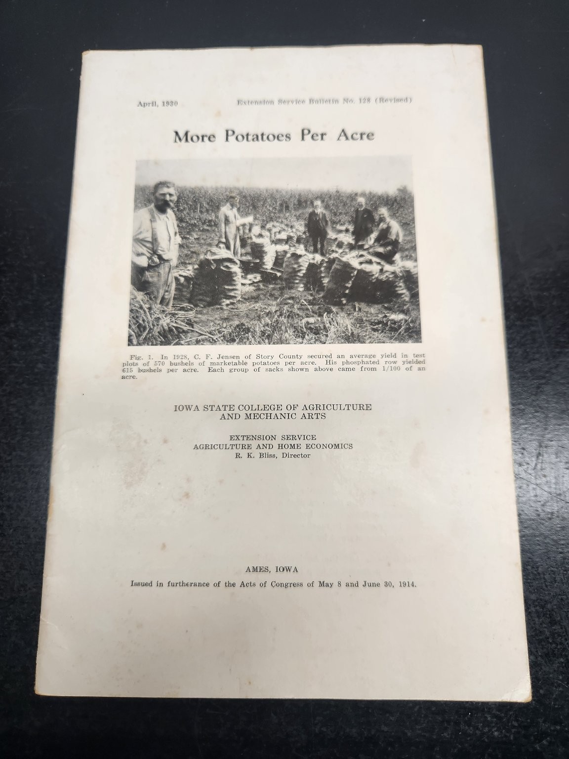 1930 Iowa State College Extension Bulletin More Potatoes Per Acre Agriculture