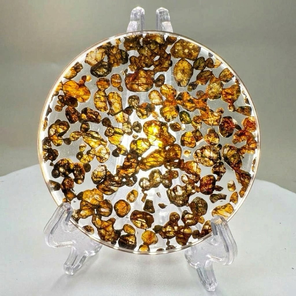 Natural Sericho Pallasite Meteorite Circular Slice Specimen With A Certificate