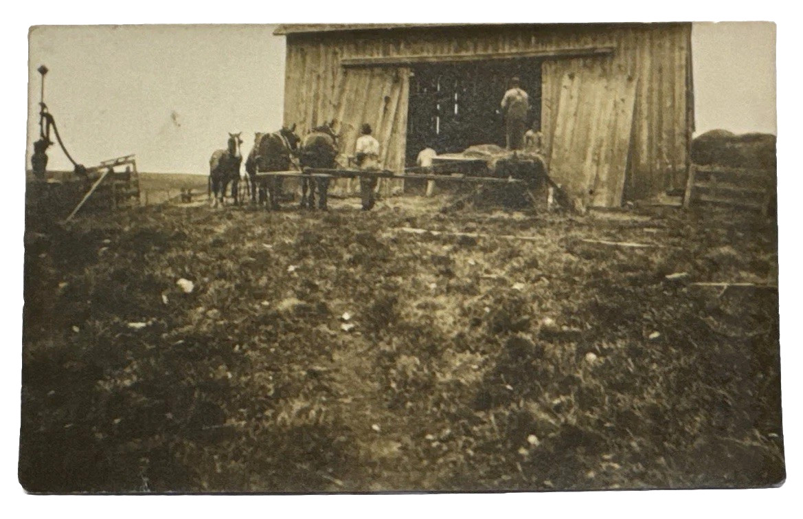 Antique RPPC Water Pump Horses Farmers Barn Hay Agriculture Farm Field