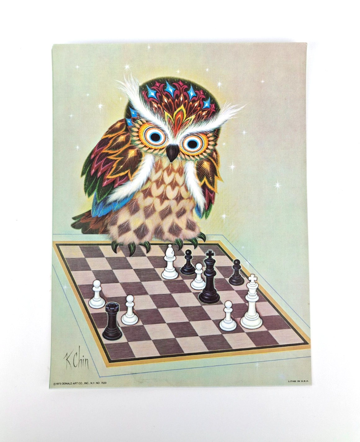 VTG 70s K Chin Owl Litho Print Mid Century Modern Donald Art Co. 9