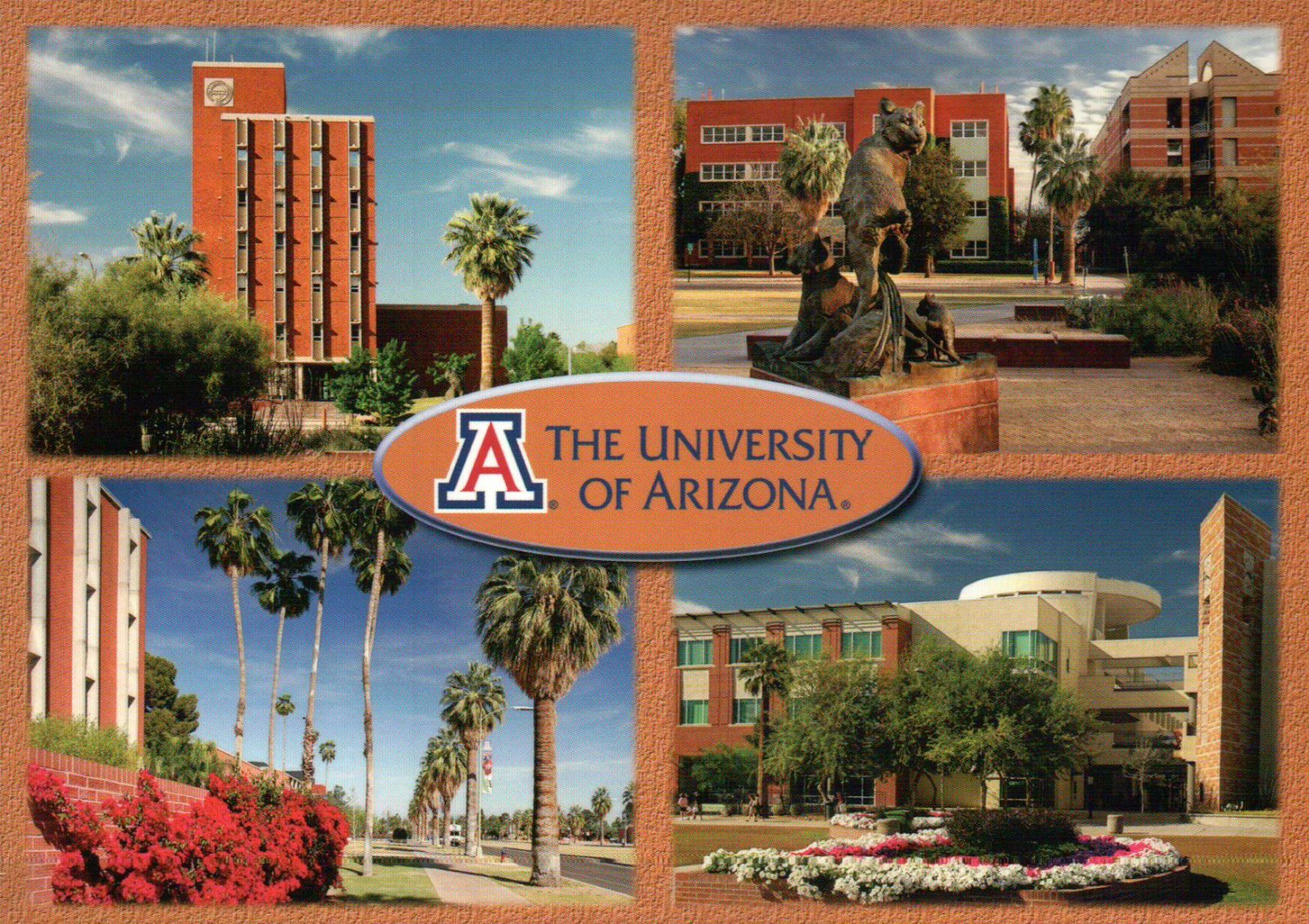 University of Arizona, Tucson AZ, Administration Building etc, Campus - Postcard