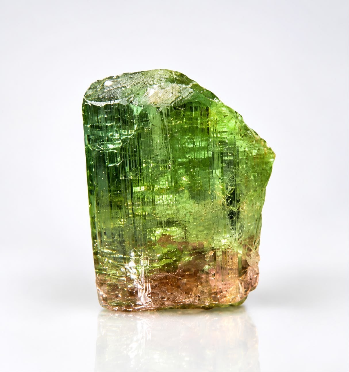 16ct | Natural Bi-Color Tourmaline Crystal Gemmy Specimen - Afghanistan