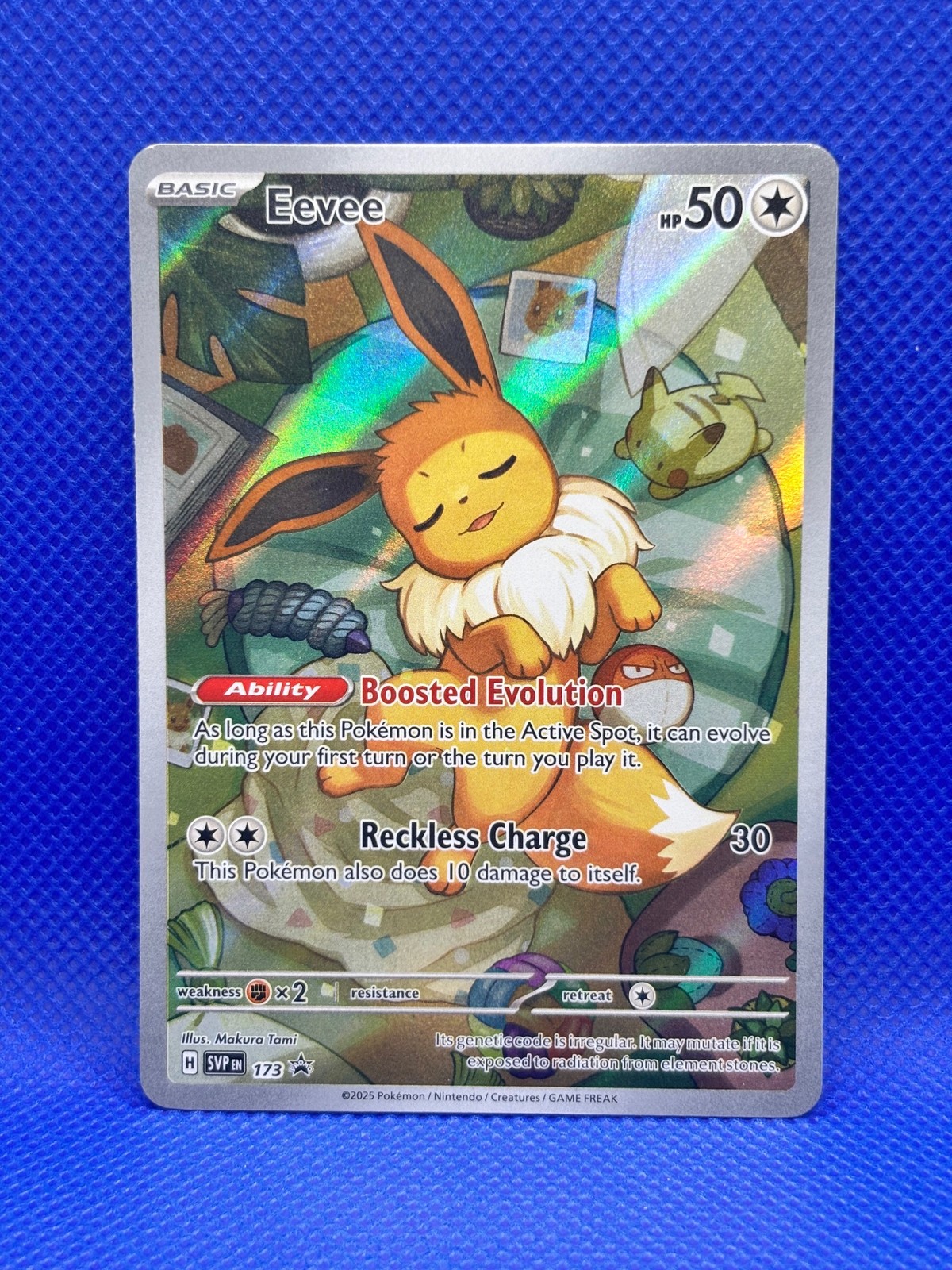 SV: Scarlet & Violet Promo Cards #173 Eevee