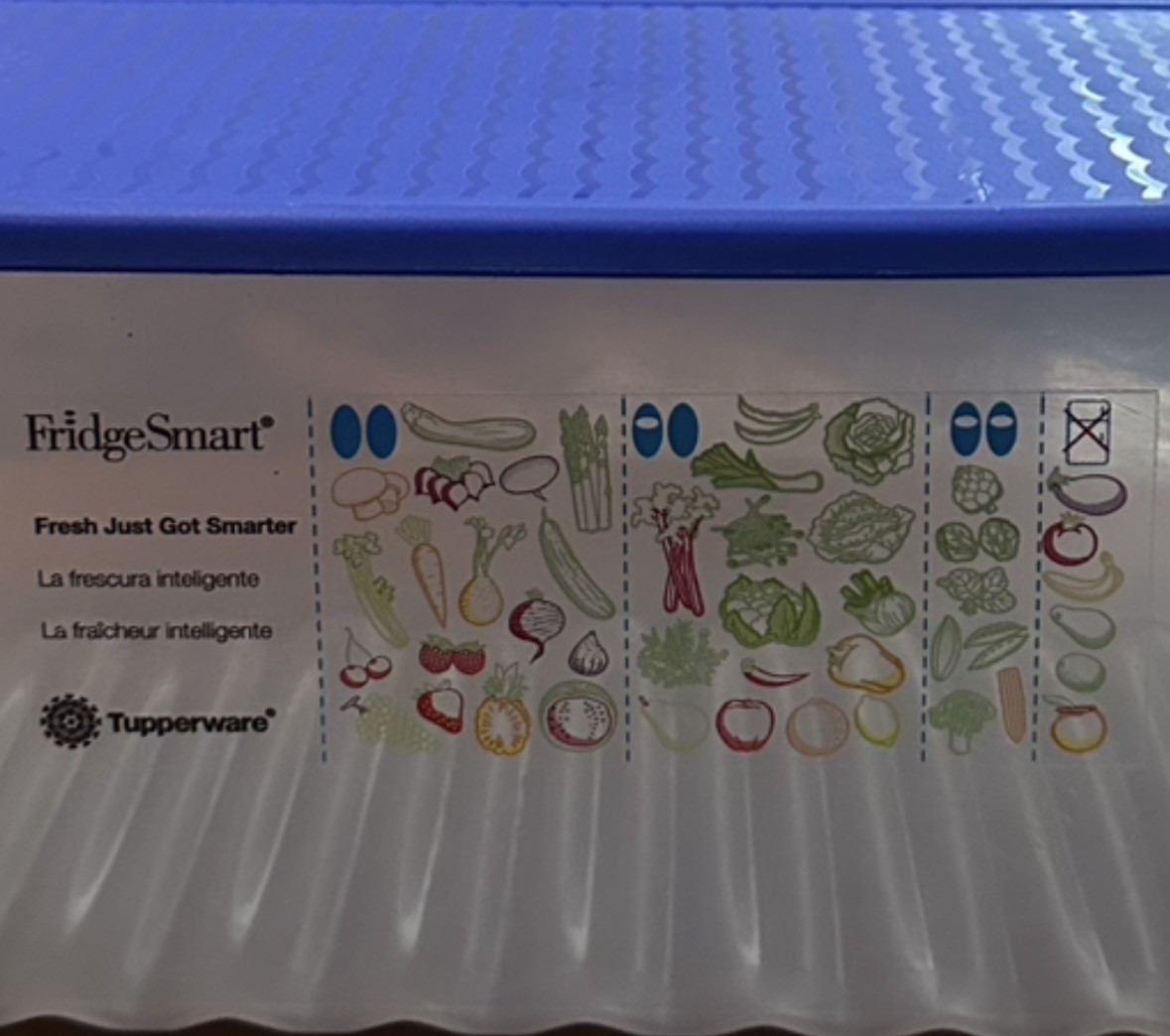 TUPPERWARE FRIDGESMART CONTAINER 3995 blue lid Fridge Smart Produce Bread Fruit