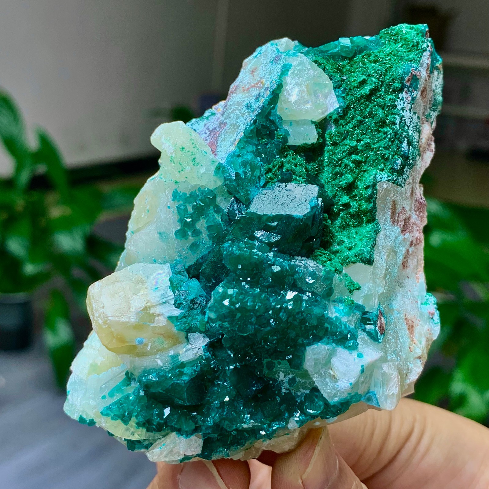 239G Natural green dioptase emerandine gemstone cluster crystal specimen
