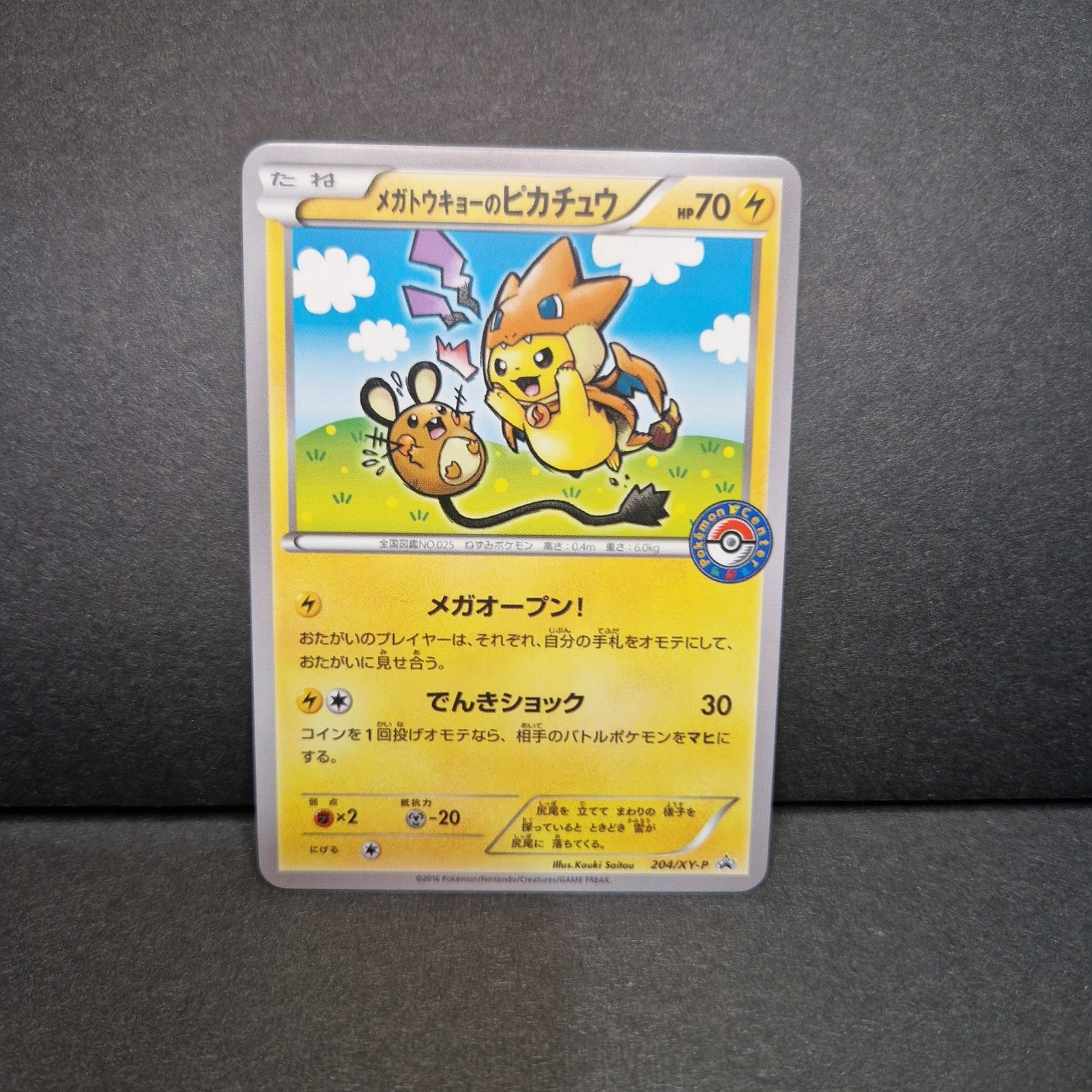 Pokemon Pikachu Charizard Poncho with Dedenne Style Art Card