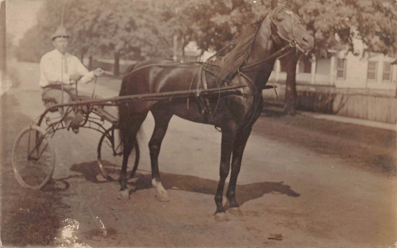 J80/ Interesting RPPC Postcard c1910 Horse Sulky Rider Race Man 249