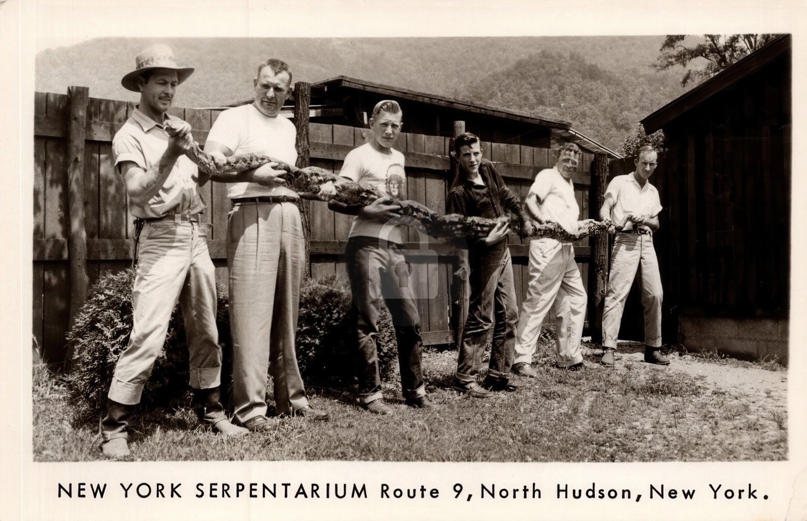 Serpentarium Huge Snake Roadside Attraction North Hudson NY RPPC Photo COPY