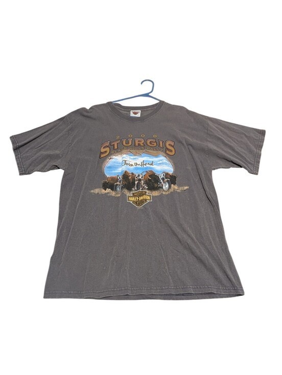 Harley-Davidson Men\'s Sturgis Black Hills Short Sleeve Tee Shirt (XL)