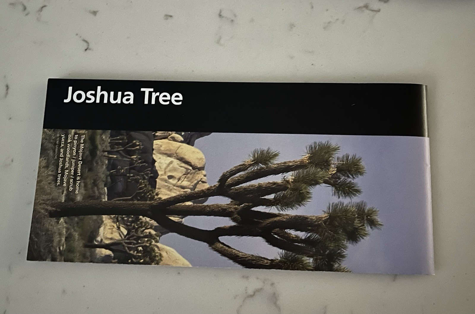 Joshua Tree National Park Map | New & Official | WITH Stamp | 
