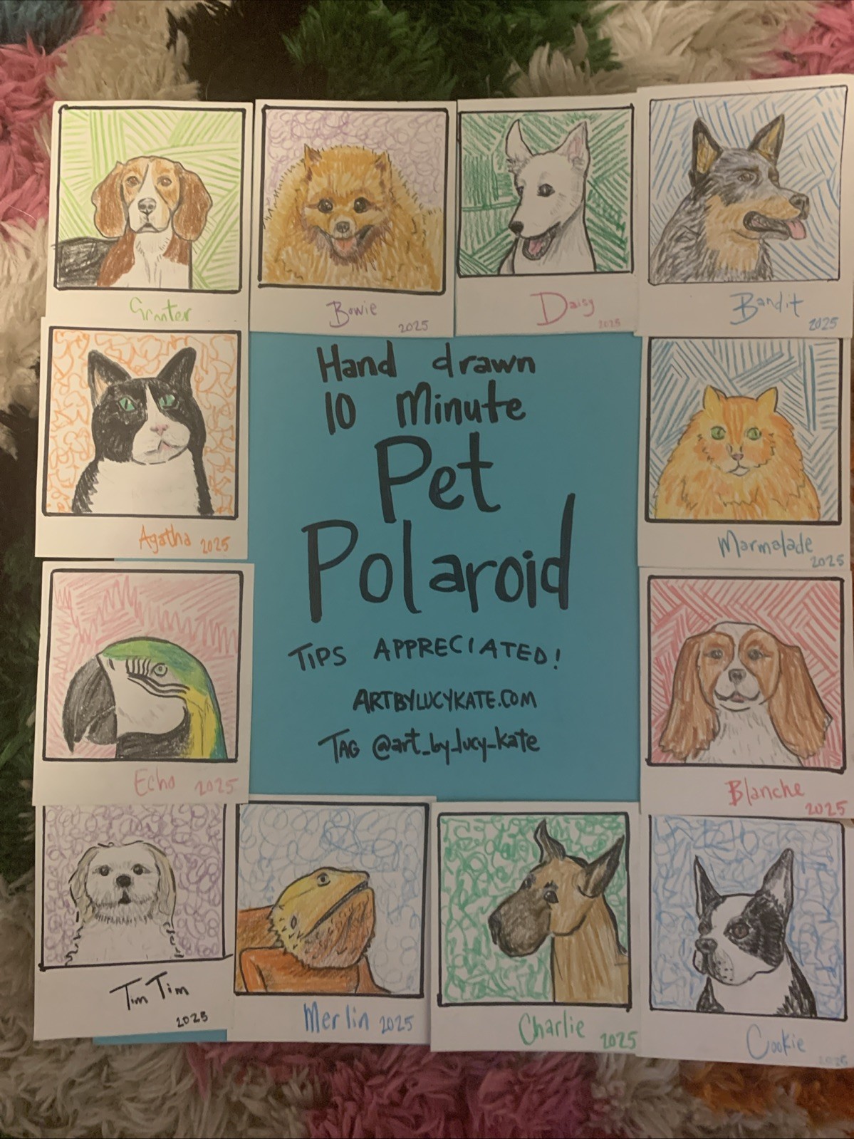 Custom Pet “Polaroid” portrait - Your Pet, Hand Drawn In Colored Pencil 3.5x4”