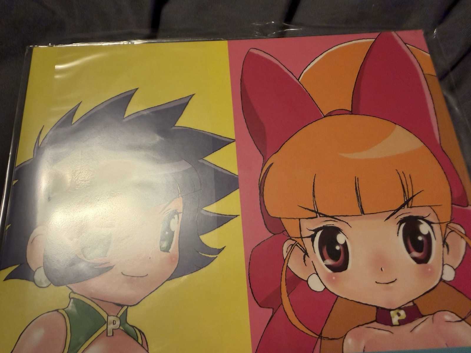 Powerpuff Girls Z (PPGZ) Doujinshi x4 Lot Japanese Language Only