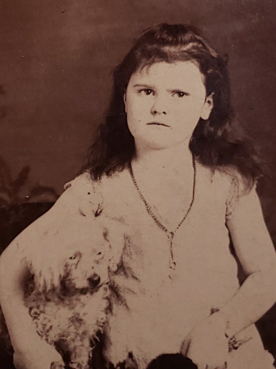 Antique 1900s Victorian Cabinet Card Named Lena Arrick Upset White Poodle Dog