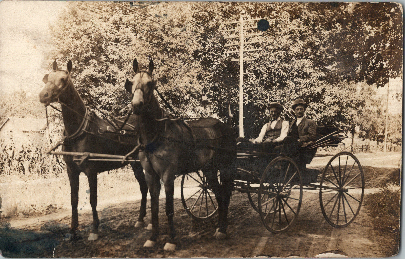 RPPC Men in Wagon Horses Real Picture Postcard