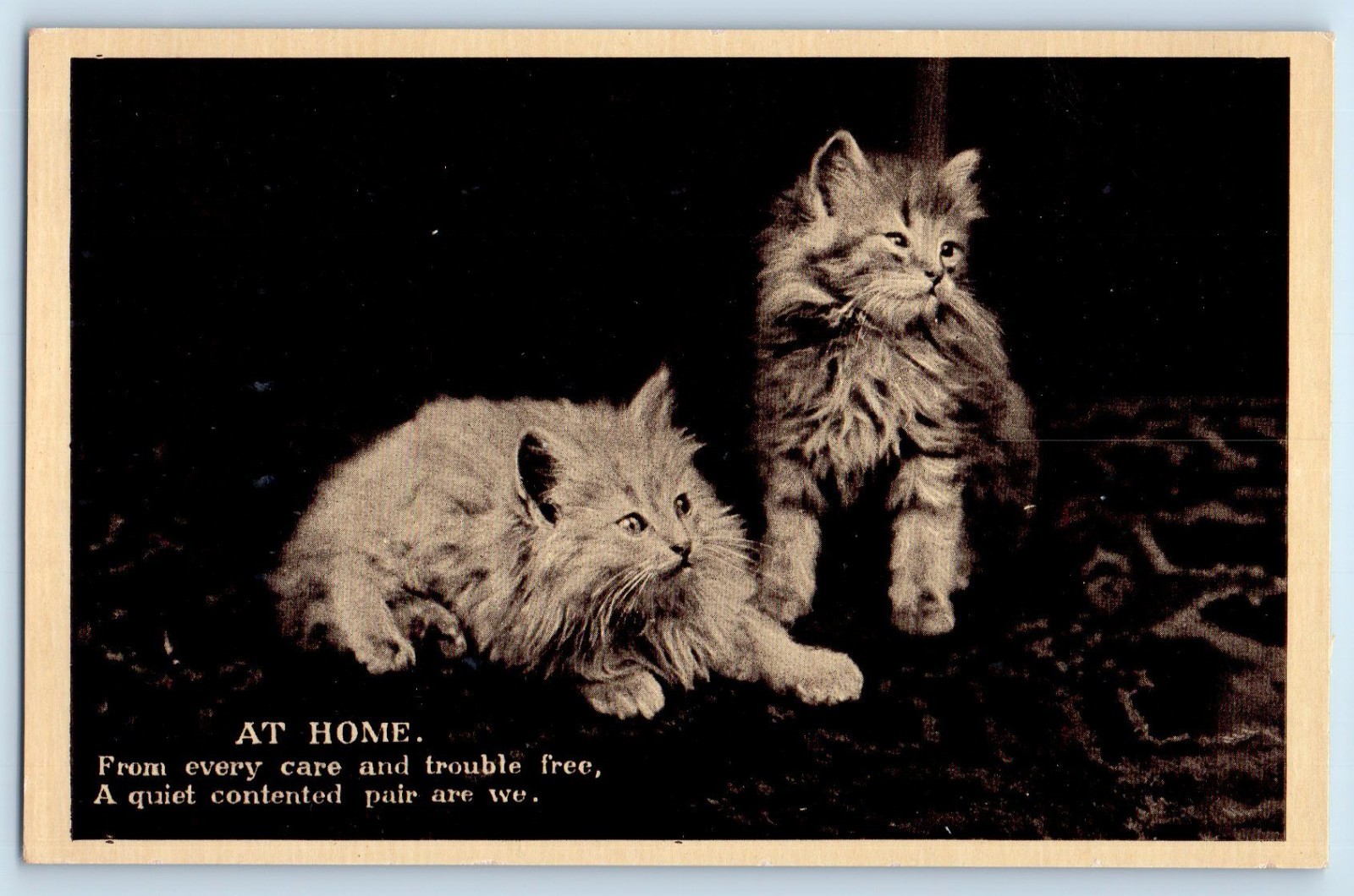 c1910\'s Cute Cat Kittens At Home From Every Care And Trouble Free Postcard