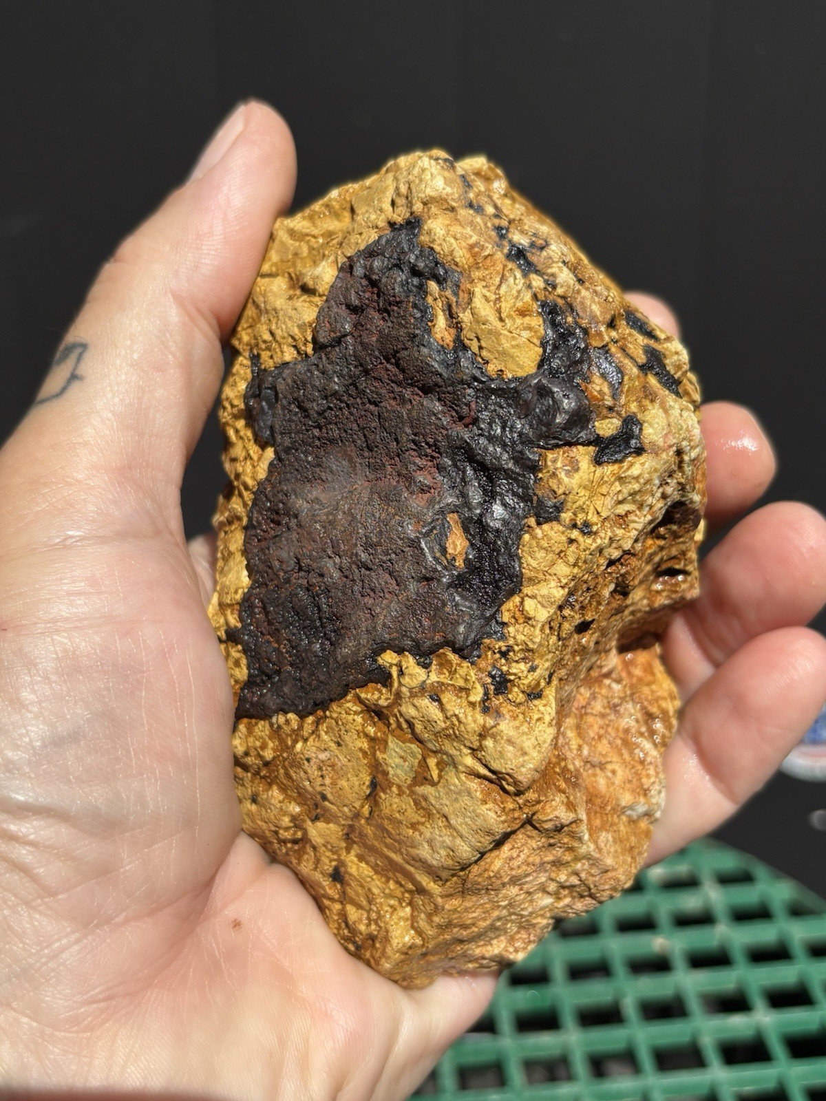 1 lb 3 oz Gold and Silver Ore Specimen Historic California Mother Lode region.