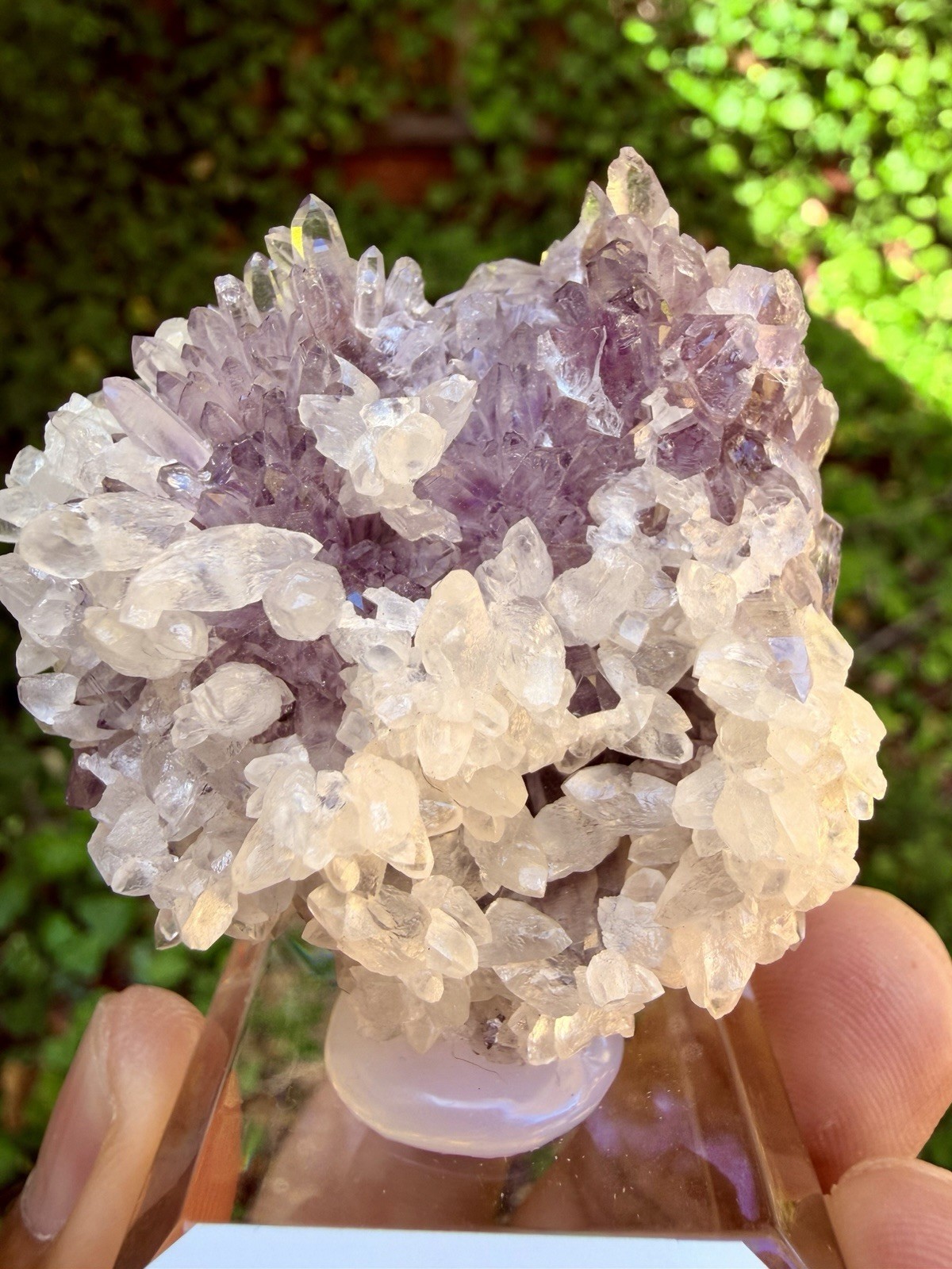 Quartz Var Amethyst From Naica Mine, Mexico , 40gm, 5cm