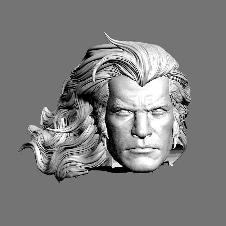 Lion-O Thundercats leader custom head for action figures