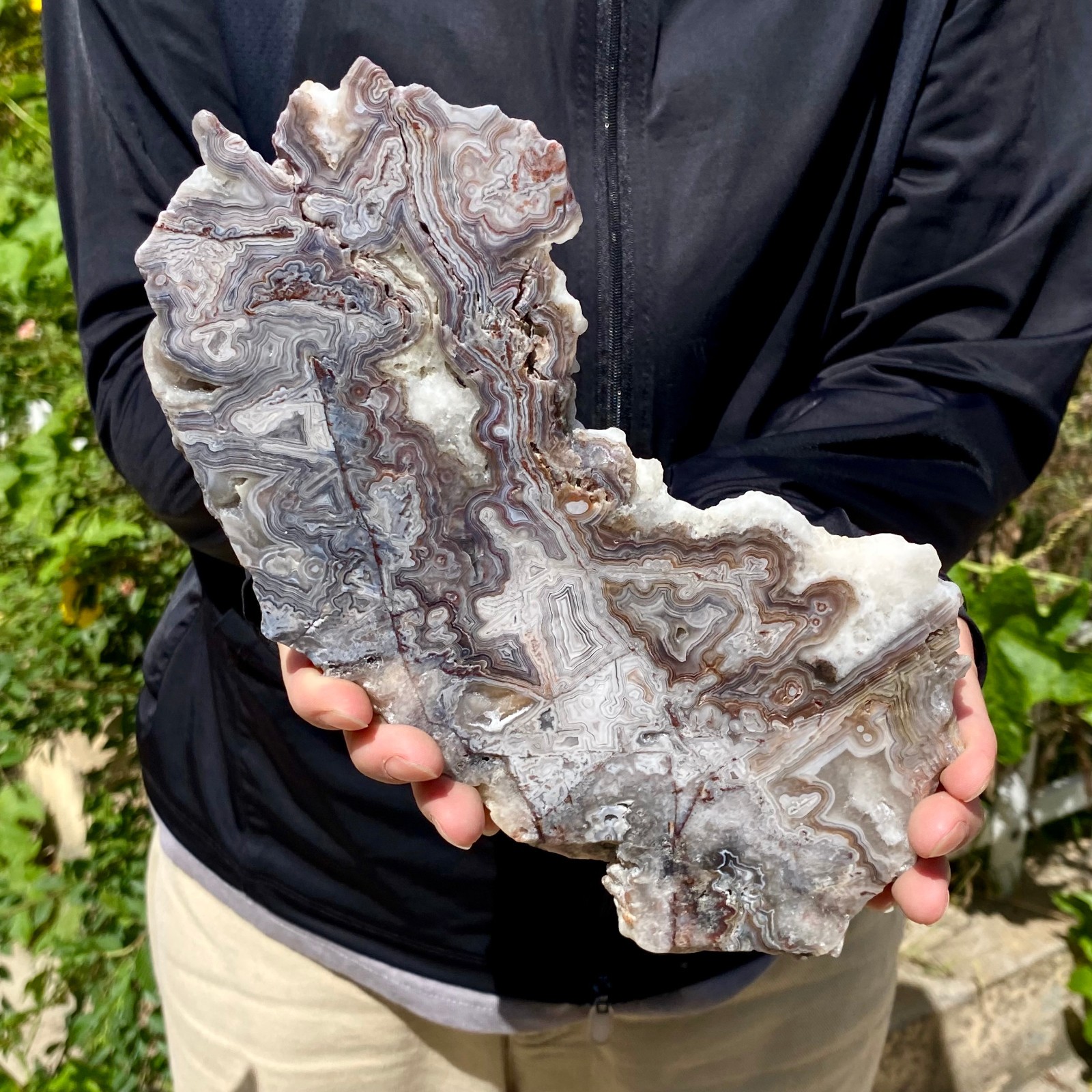 1.26LB Natural Crazy Lace Agate Slice Polished Rough Mineral Specimen Crystal Ho