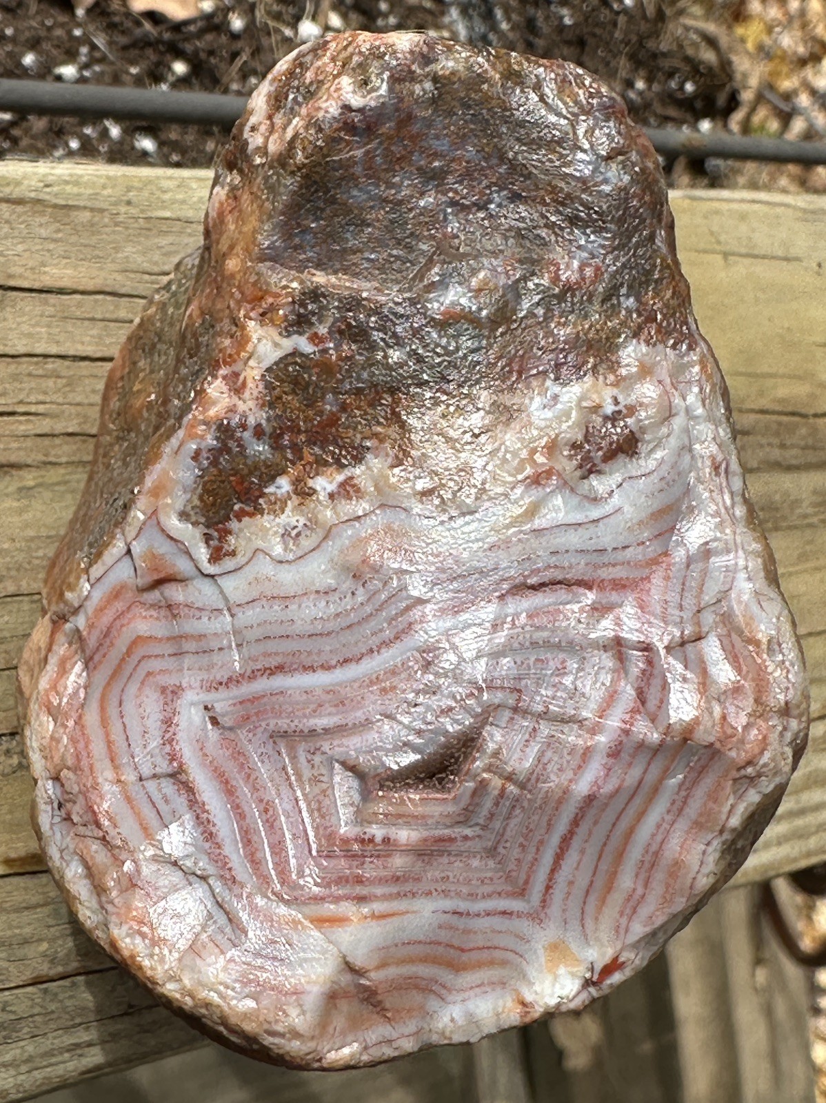 1 LB 1 Oz Lake Superior Agate Purple & Red Banding Platelets Top Museum Piece