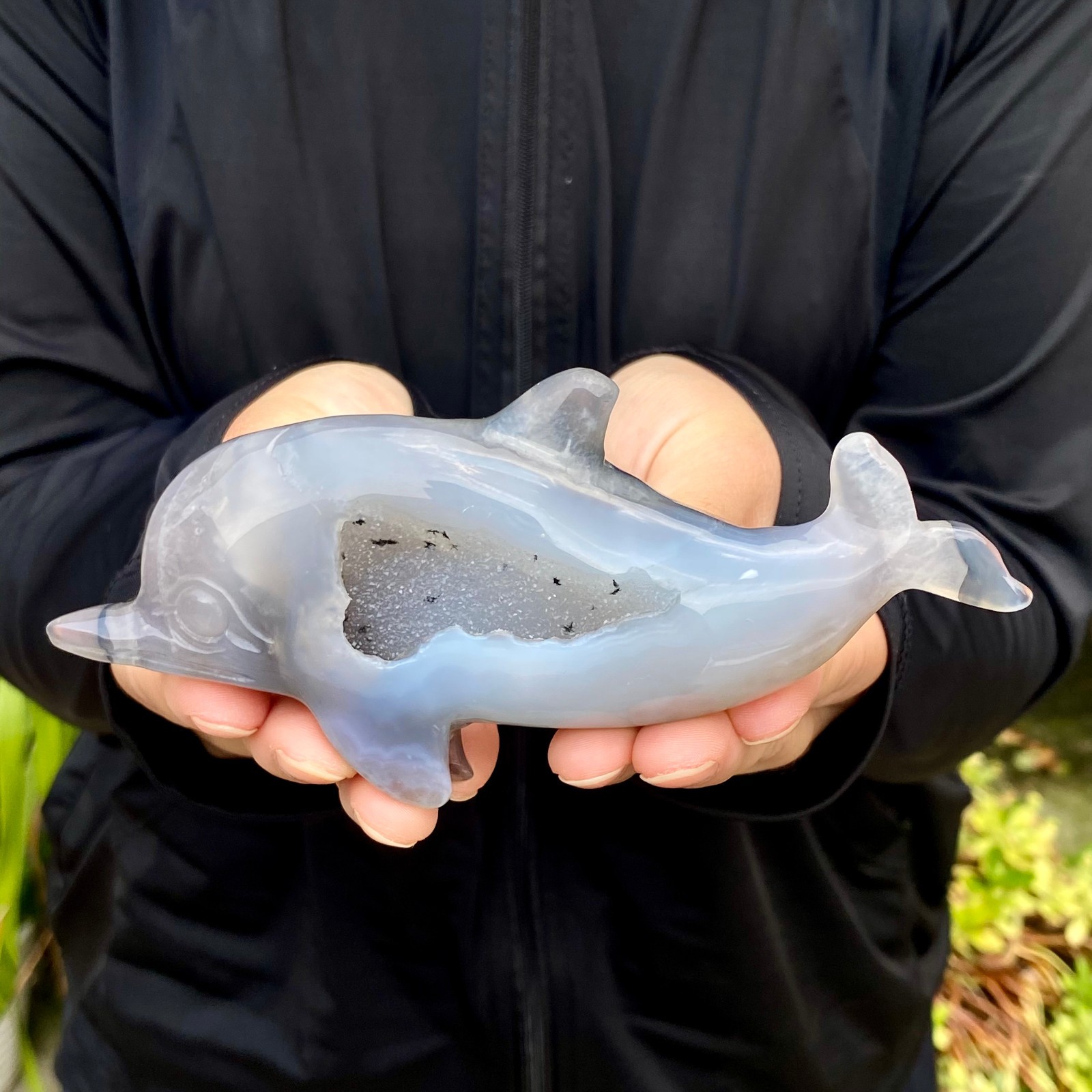 255G Natural agate geode quartz crystal engrave Dolphin skull healing gift