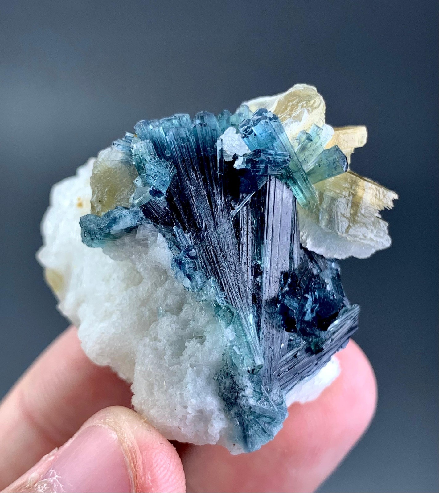 131 Carat Indicolite Tourmaline Crystal Specimen From Afghanistan 131 Carat Indicolite Tourmaline Crystal Specimen From Afghanistan