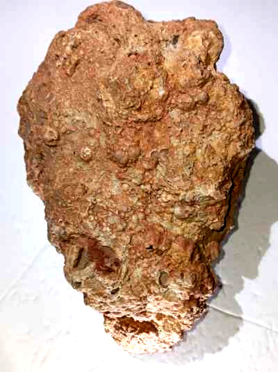 1x Large Oregon Thunderegg Rough (5Lbs) Lapidary Rocks DzD(T-EggUC#013)BulkGeode