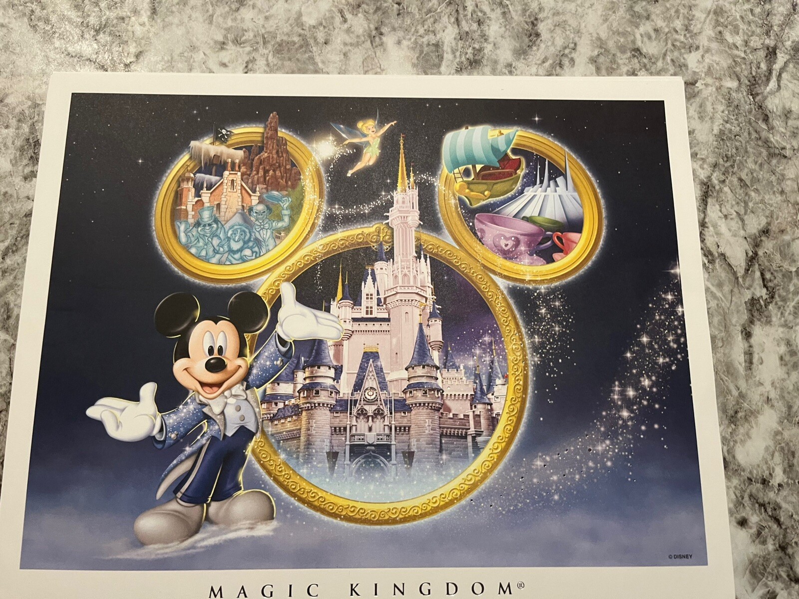 Disney Theme Parks - Matching Set of 4 with authenticity 