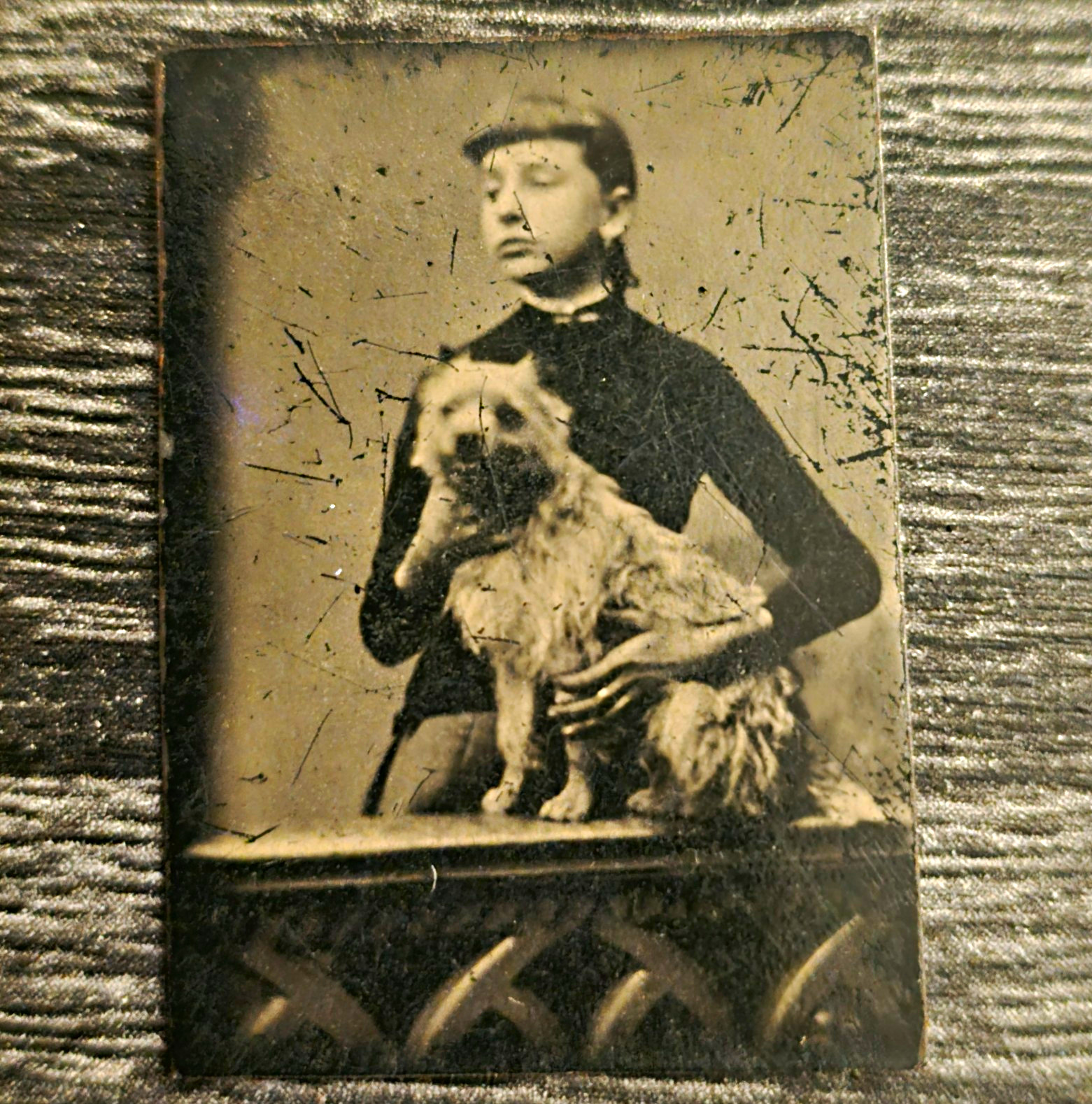 Antique Gem Tintype Woman Holding Dog – Rare Victorian Pet Photo – 1 x 1.5