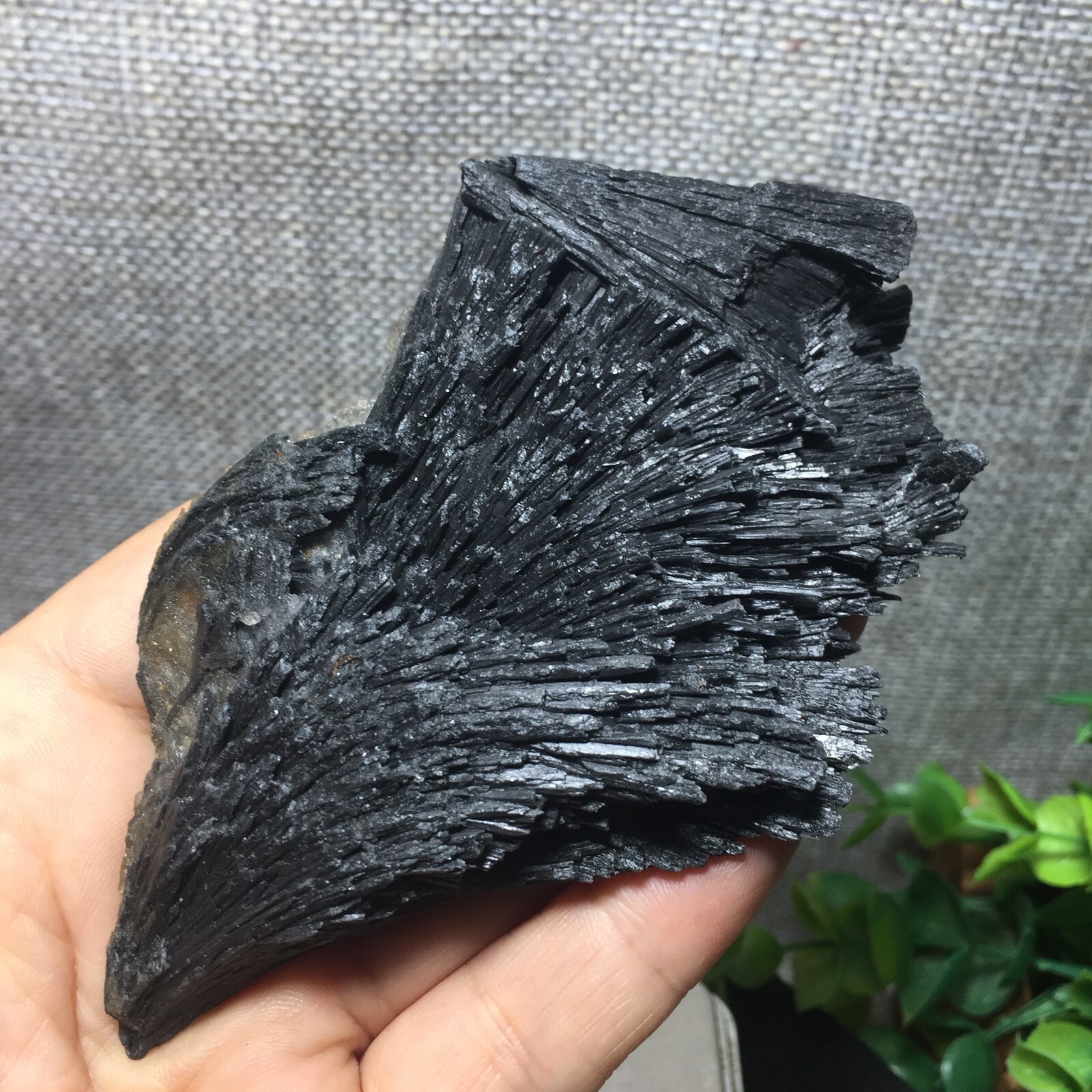 140g Natural Black Kyanite Blades Fans Premium Quality rough Mineral 106