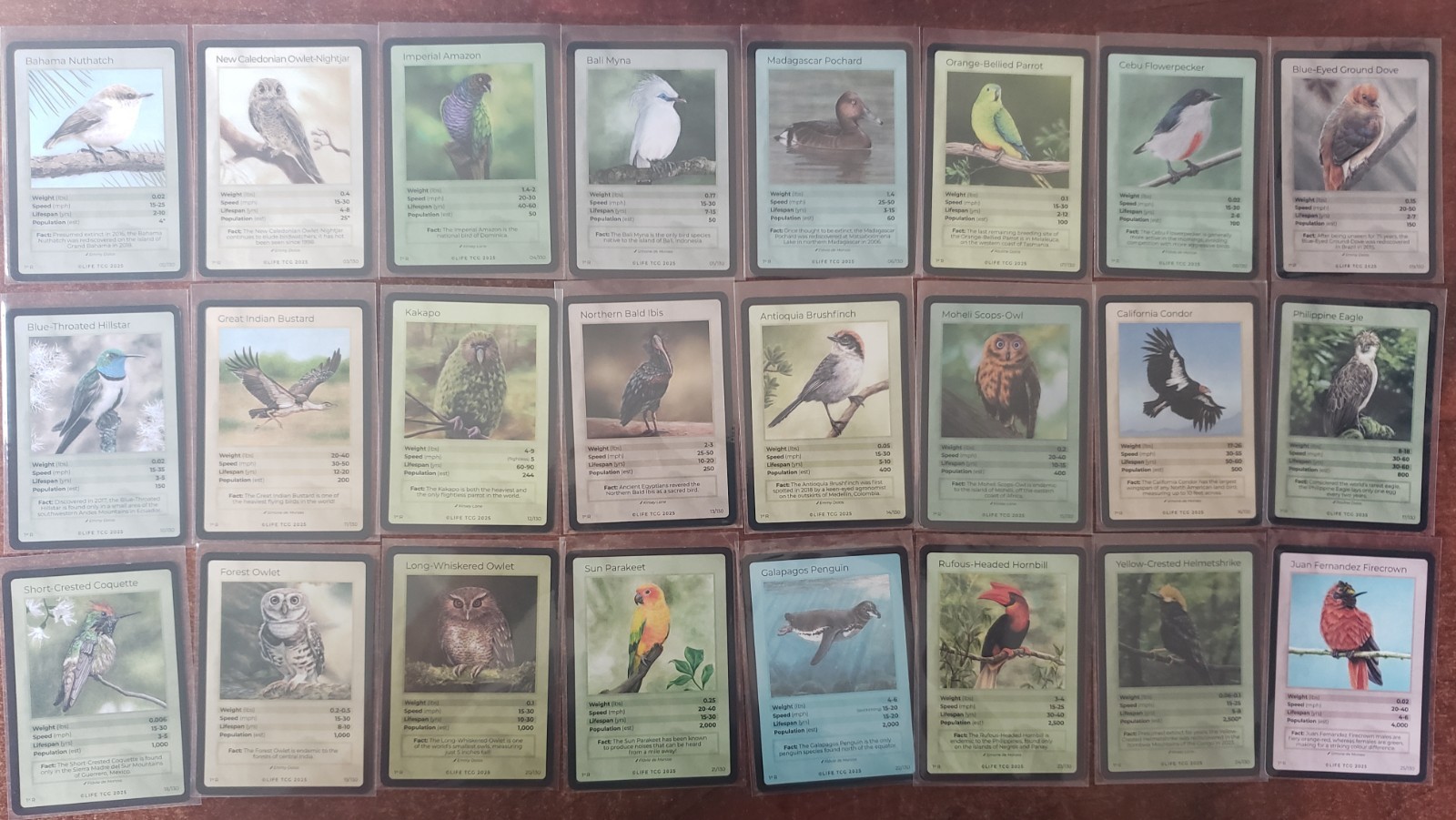 Life TCG Rare Birds x 24 Cards 02-25/130 1270