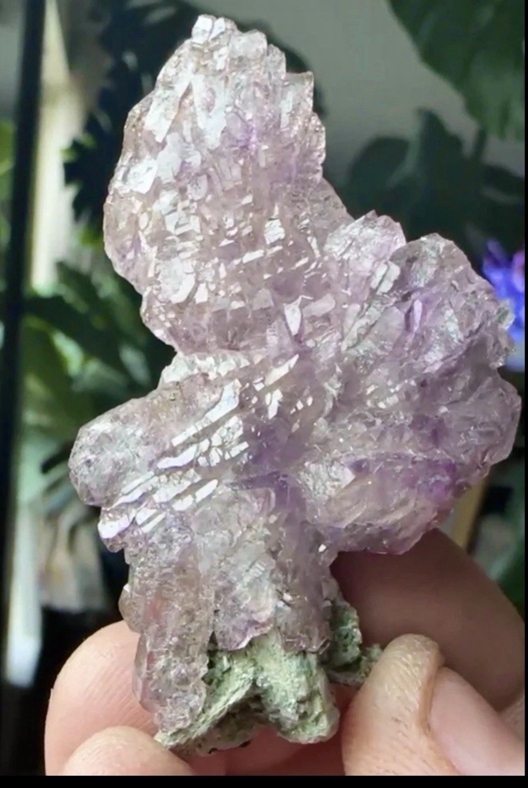 Quartz var. Amethyst Floater Cluster Fully Terminated – Kakamunurle Mine India