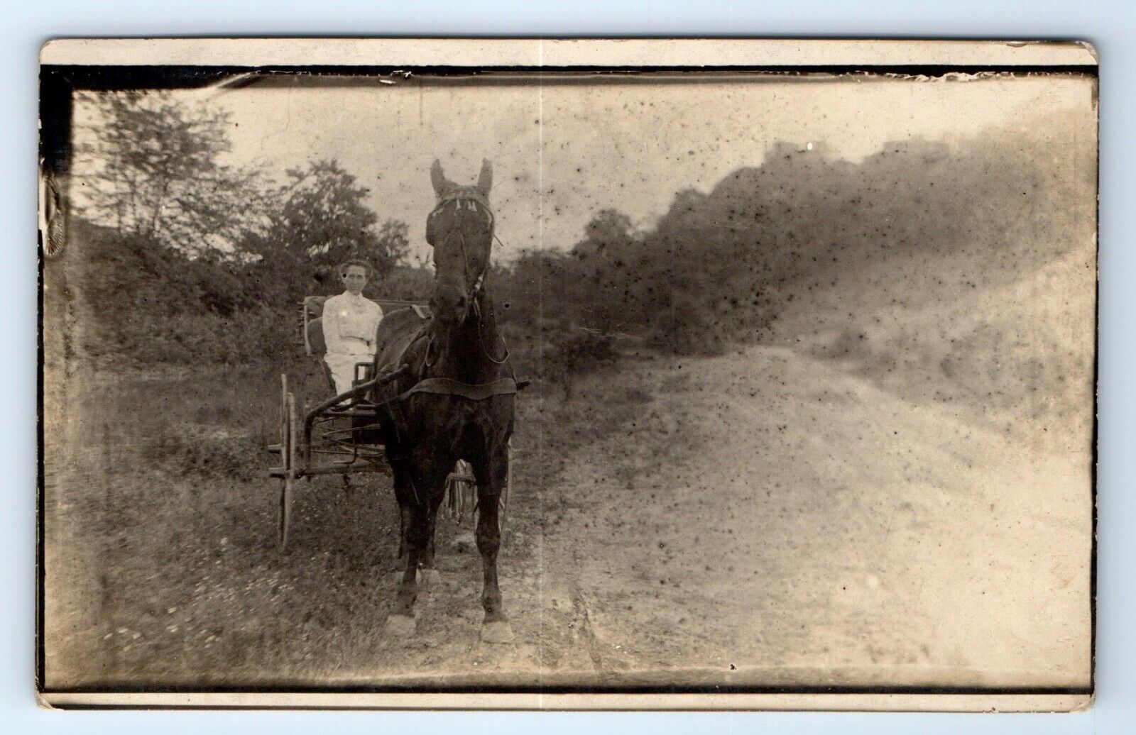 Woman Sitting Black Horse Pulled Carriage Glass Negative RPPC Postcard c.1910