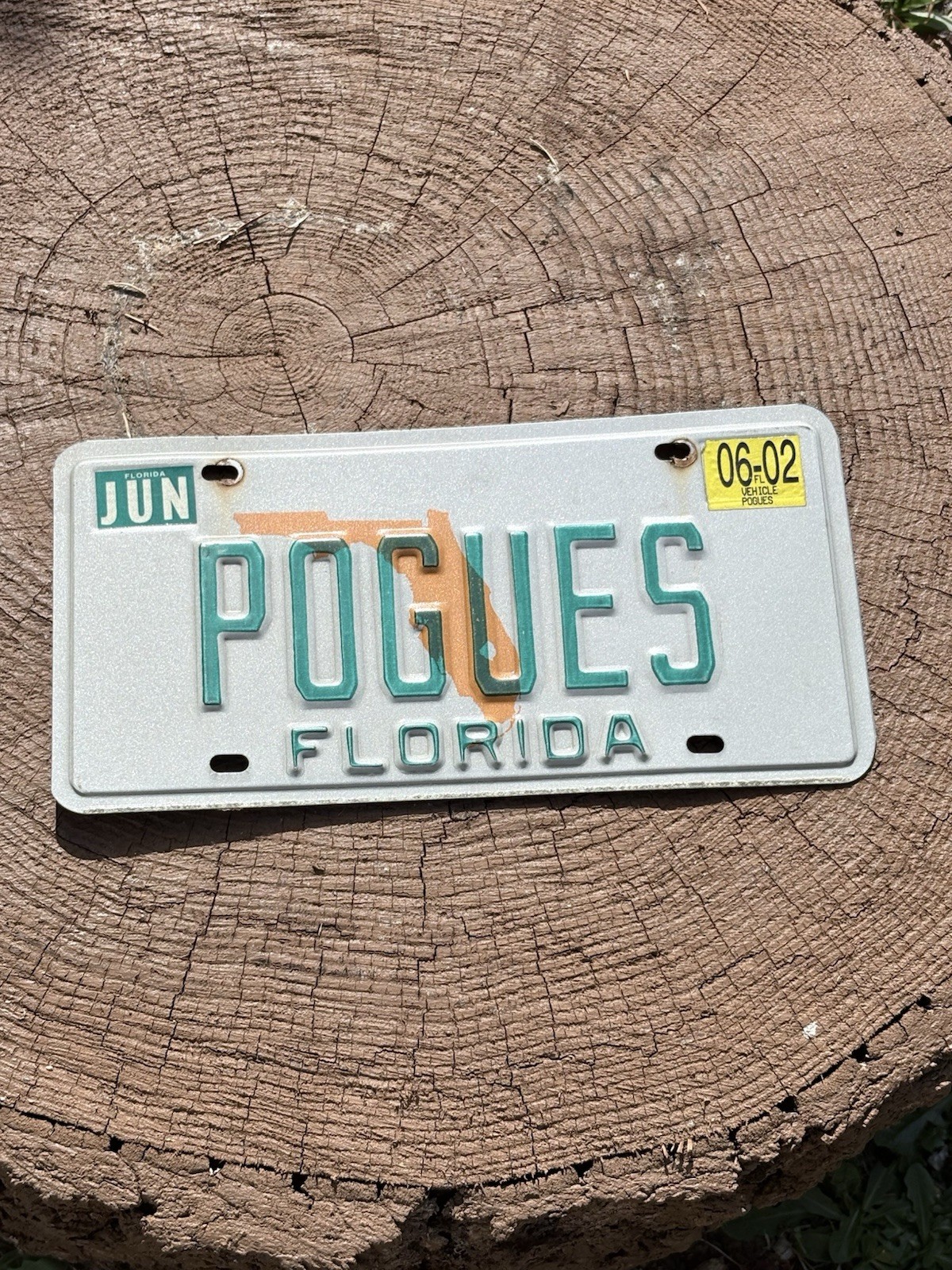 RARE Vintage POGUES Florida License Plate Irish Band ☘️