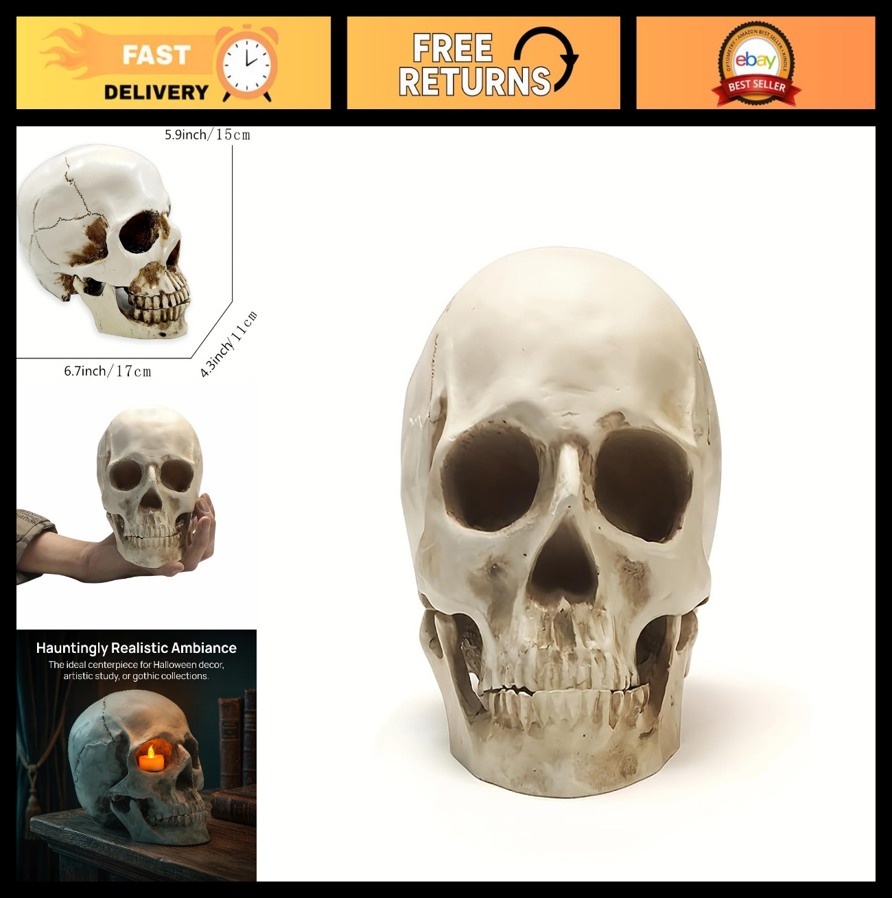 Realistic Human Skull Model - 1:1 Anatomical Skeleton for Home Decor & Halloween