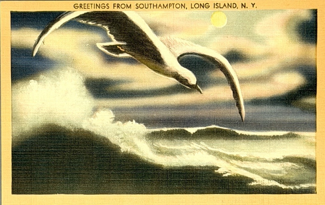 Vintage Hamptons Postcard Southampton Long Island NY Linen Seagull Ocean Wave