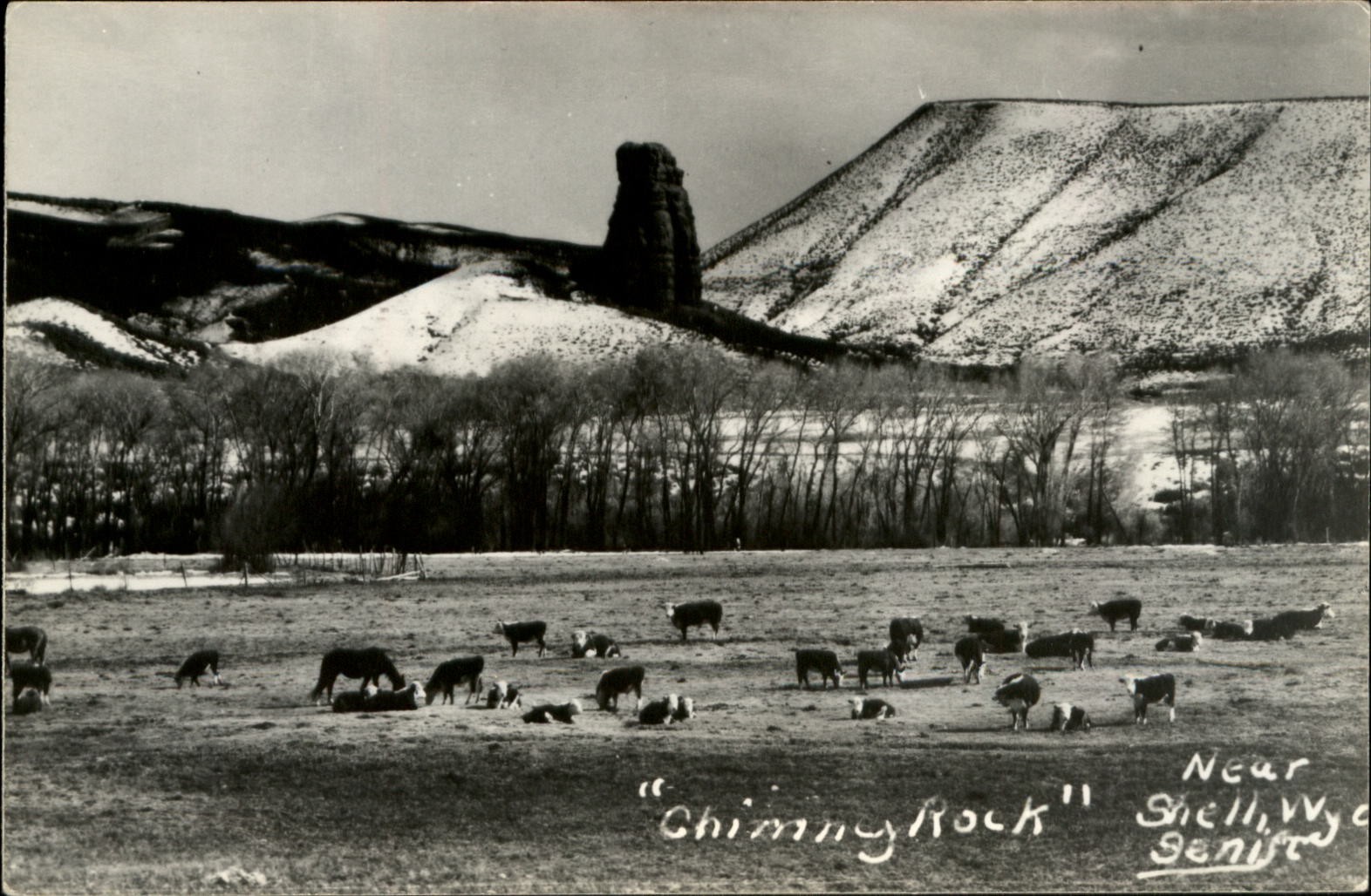 Chimney Rock & cattle near Shell Wyoming ~ RPPC real photo postcard
