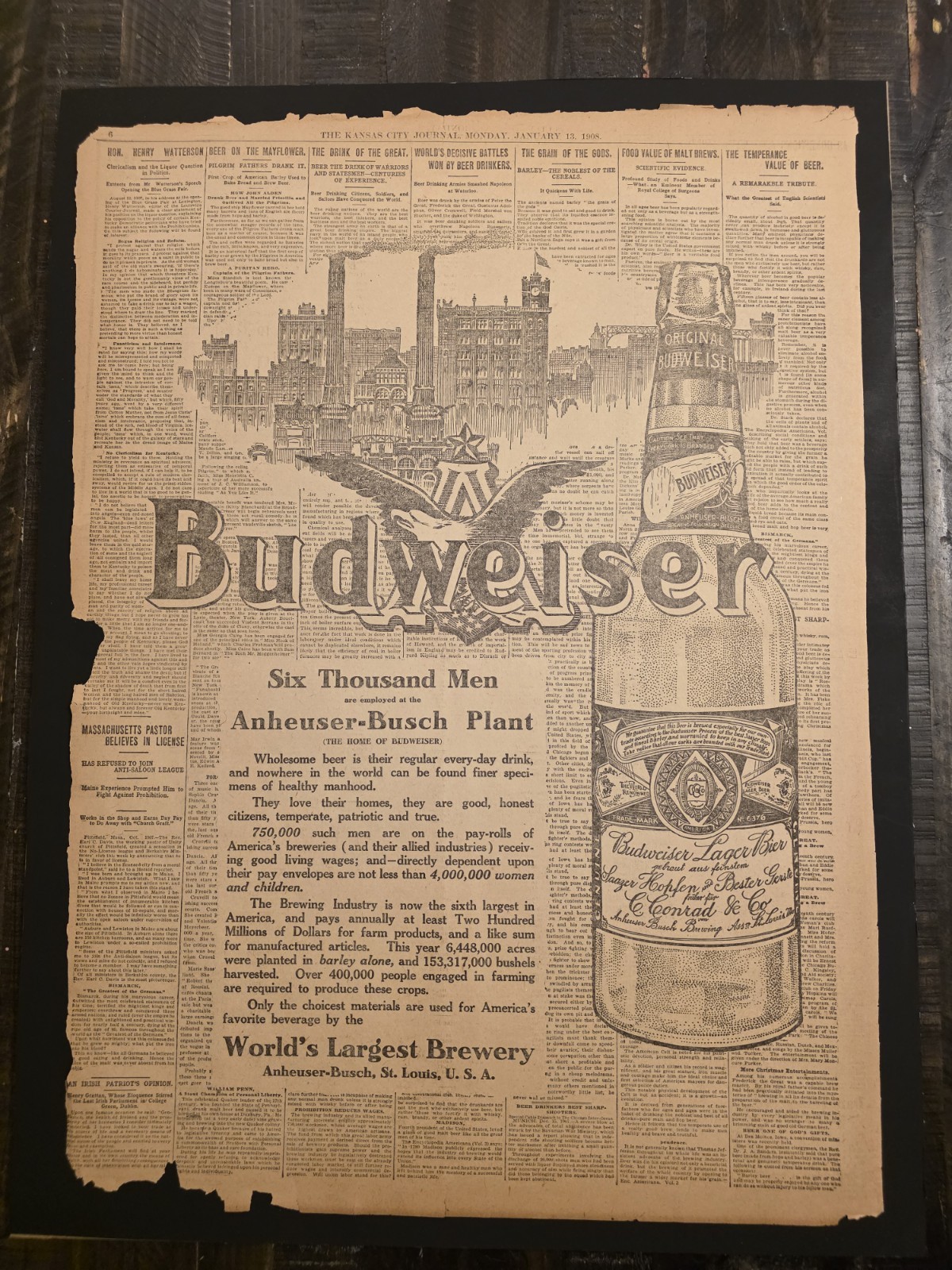 Rare 1908 ORIGINAL Budweiser Beer Newspaper Full Page Ad 